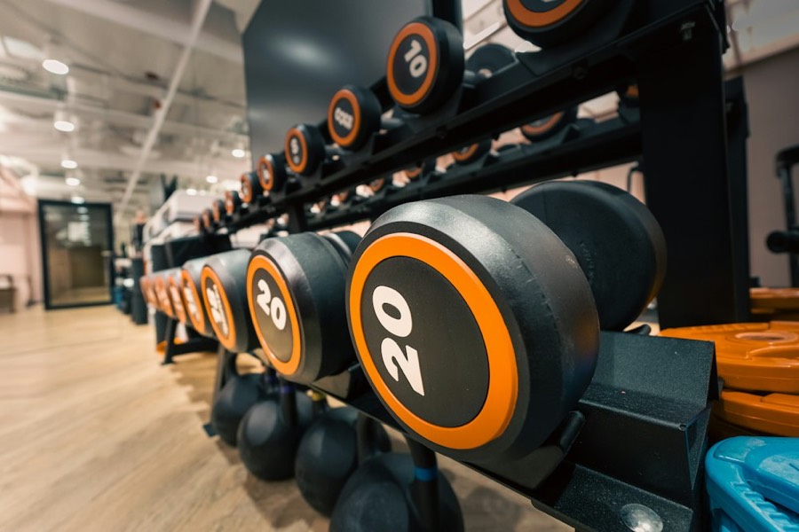 Haltères et disques prêts pour l'entraînement